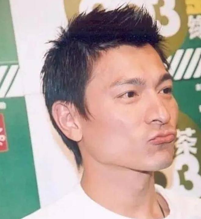 过往,刘德华所属公司因误会将四川一家名为“刘德华板鸭”的店铺告上法庭。
